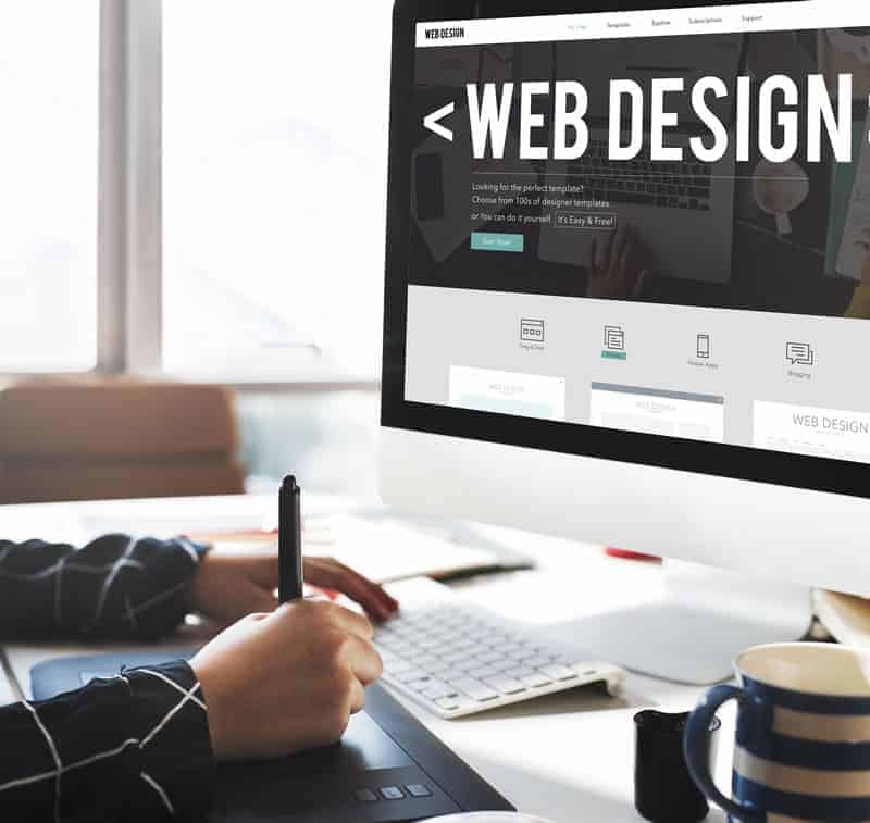 seo website mexico