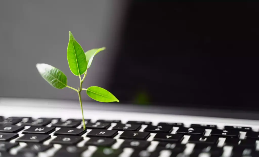 La importancia del contenido evergreen en tu estrategia SEO