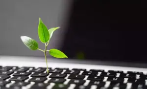 La importancia del contenido evergreen en tu estrategia SEO