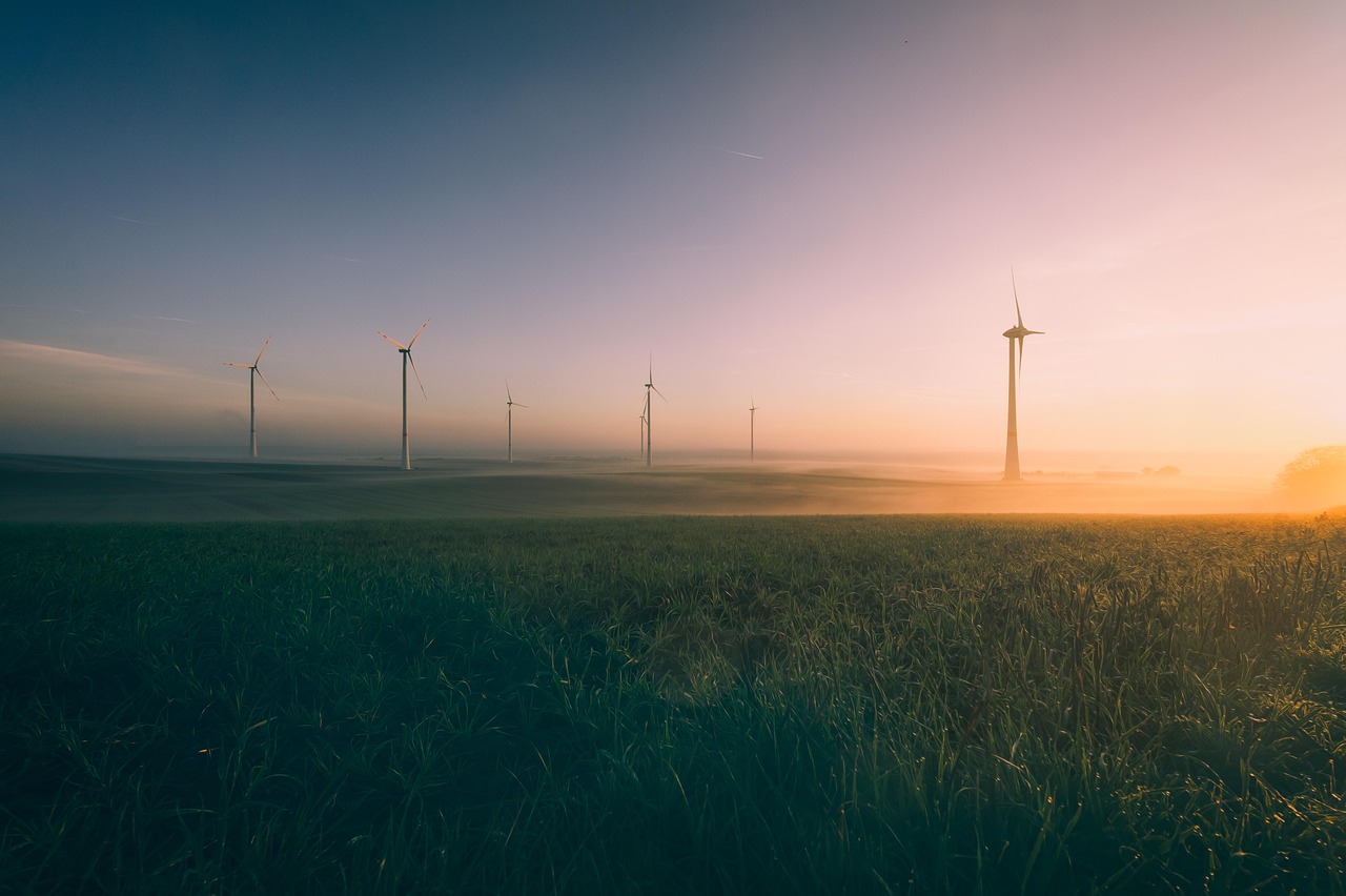 Los aerogeneradores se alzan en un campo al amanecer con la niebla cubriendo el suelo y el cielo mostrando colores suaves y cálidos.